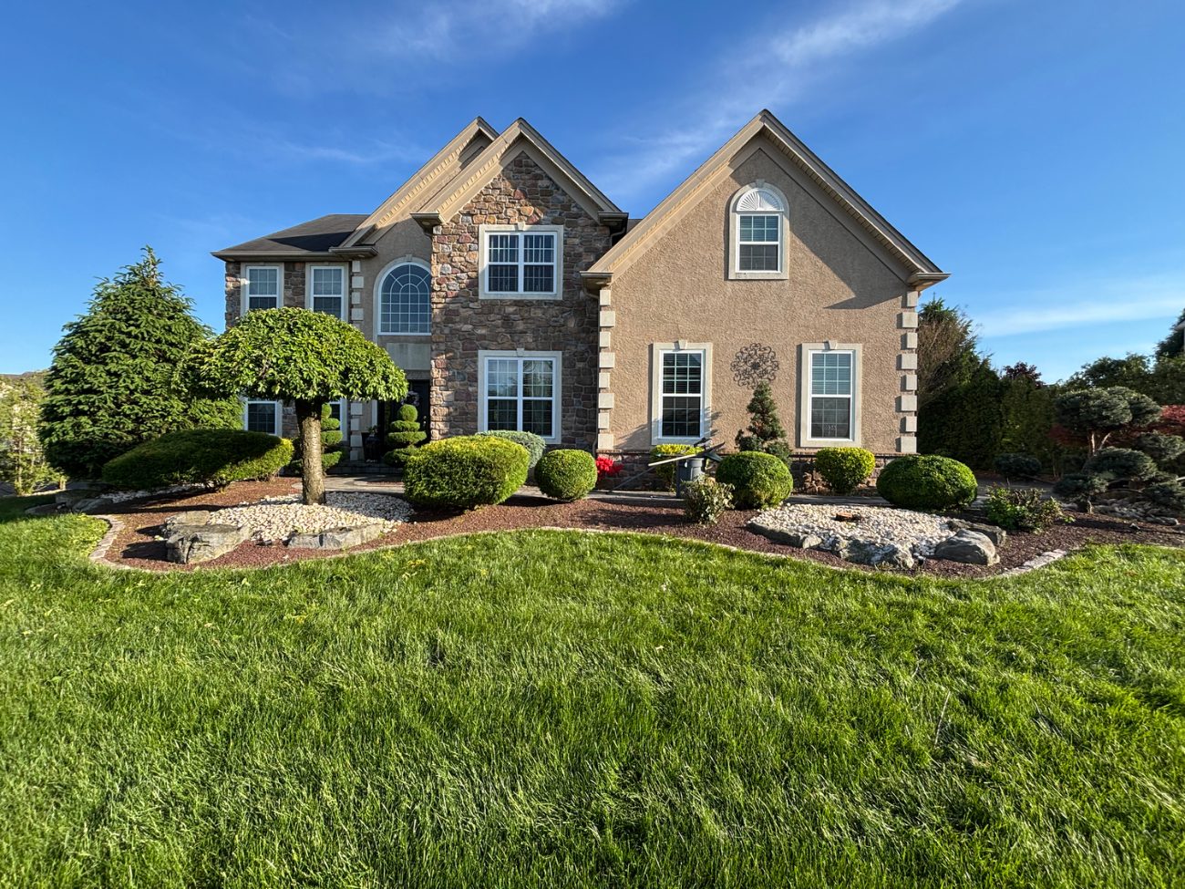 Front yard with manicured lawn and shaped shrubs
