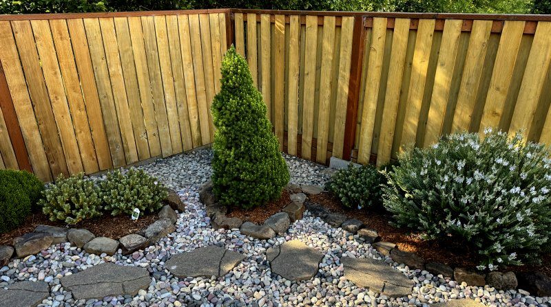 Raised rock garden with cone-shaped shrub