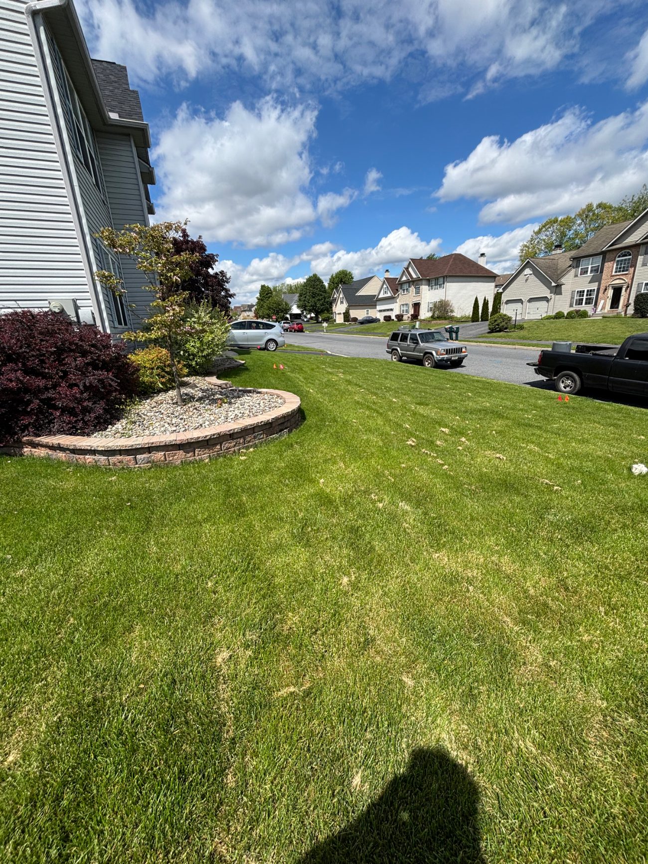 Full landscaping bed installation